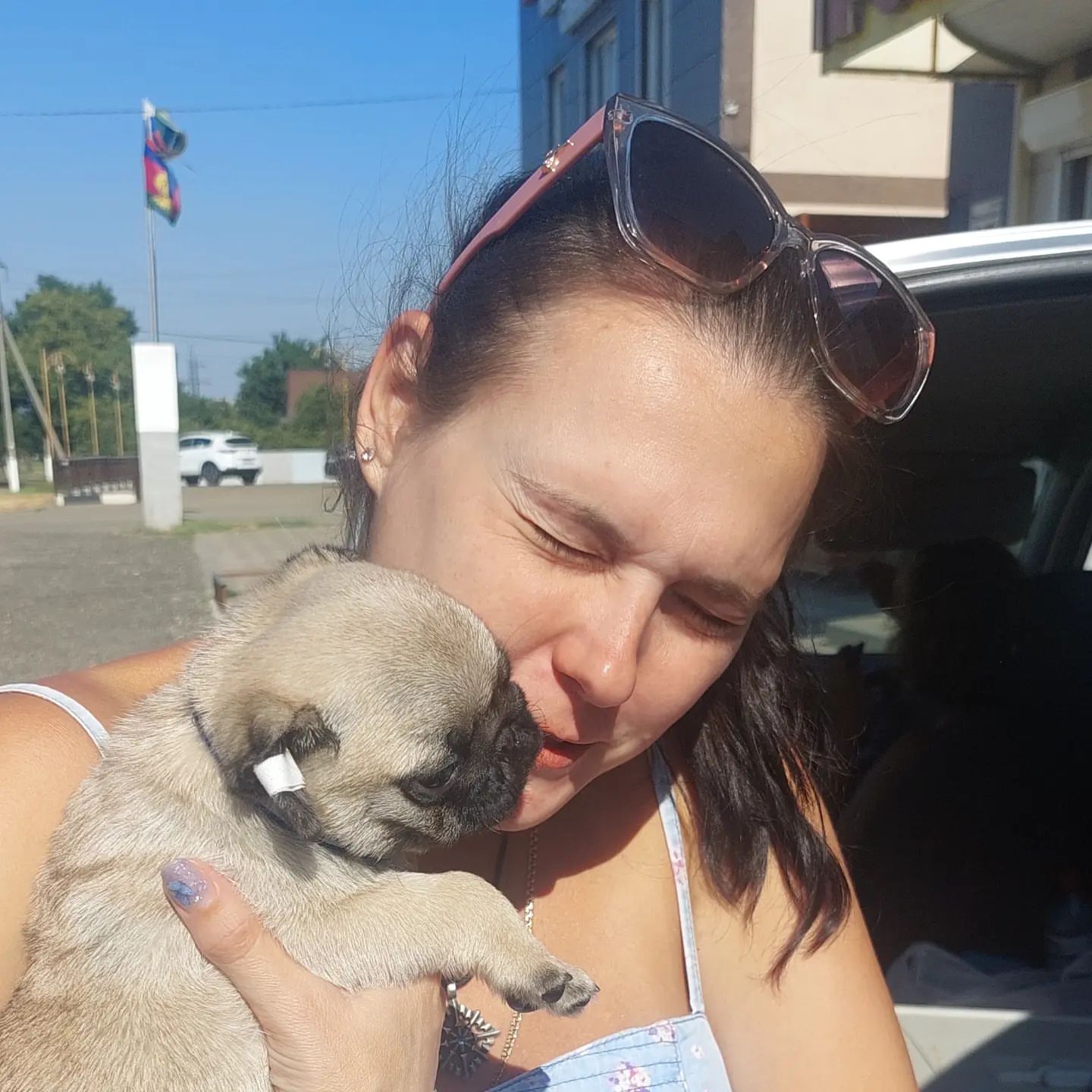 teacup pug puppies for sale in louisiana