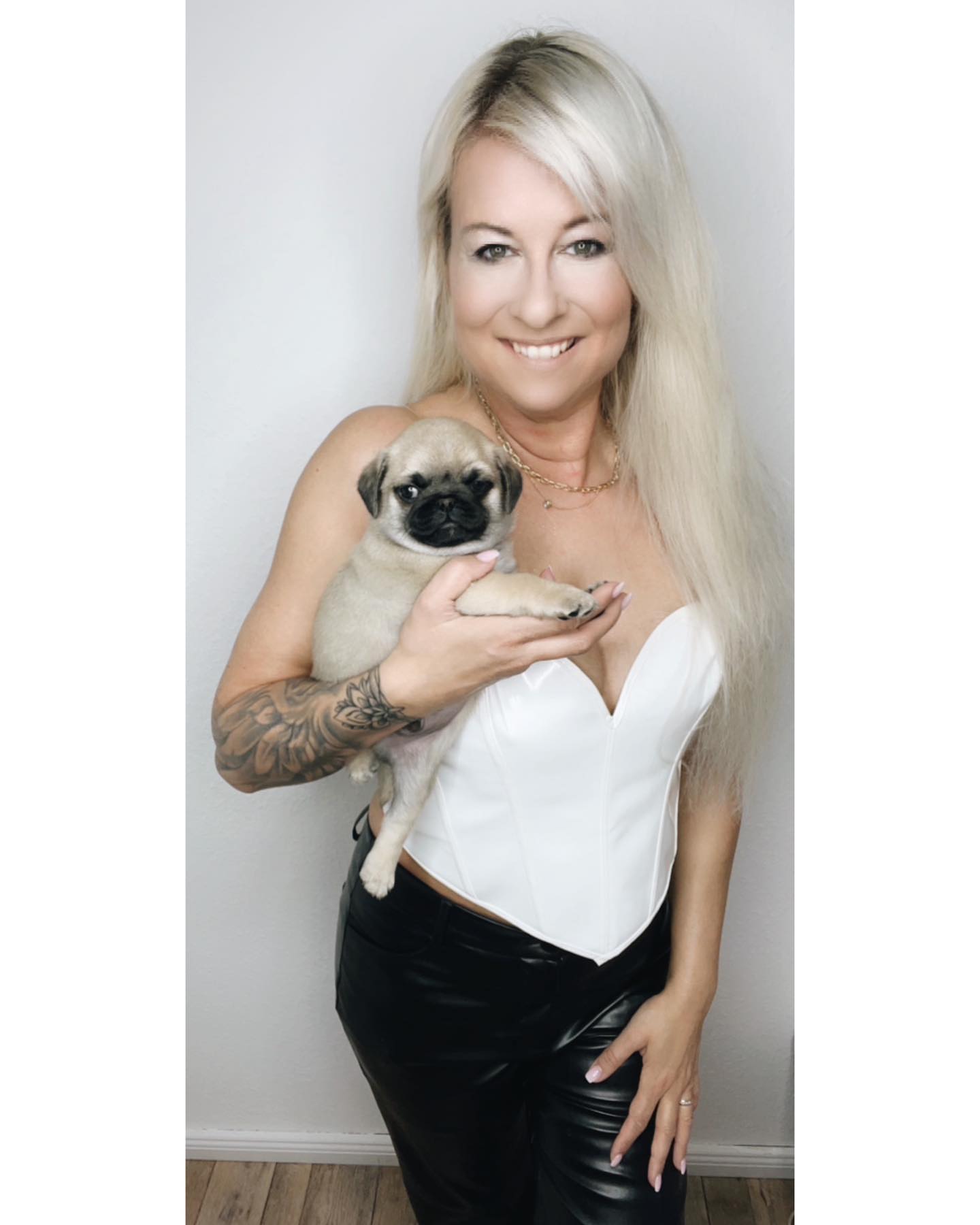 pug puppies for sale in wisconsin